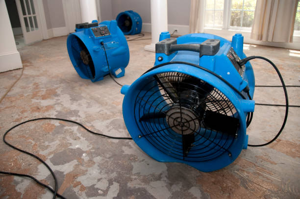 Best Water damage cleanup near me  in Las Quintas Fronterizas, TX