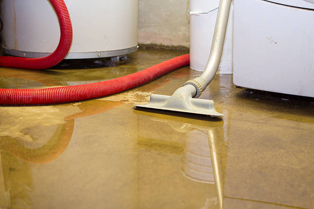 Best Professional water damage repair  in Las Quintas Fronterizas, TX