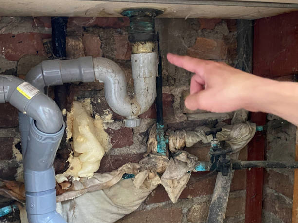 Best Flood restoration services  in Las Quintas Fronterizas, TX